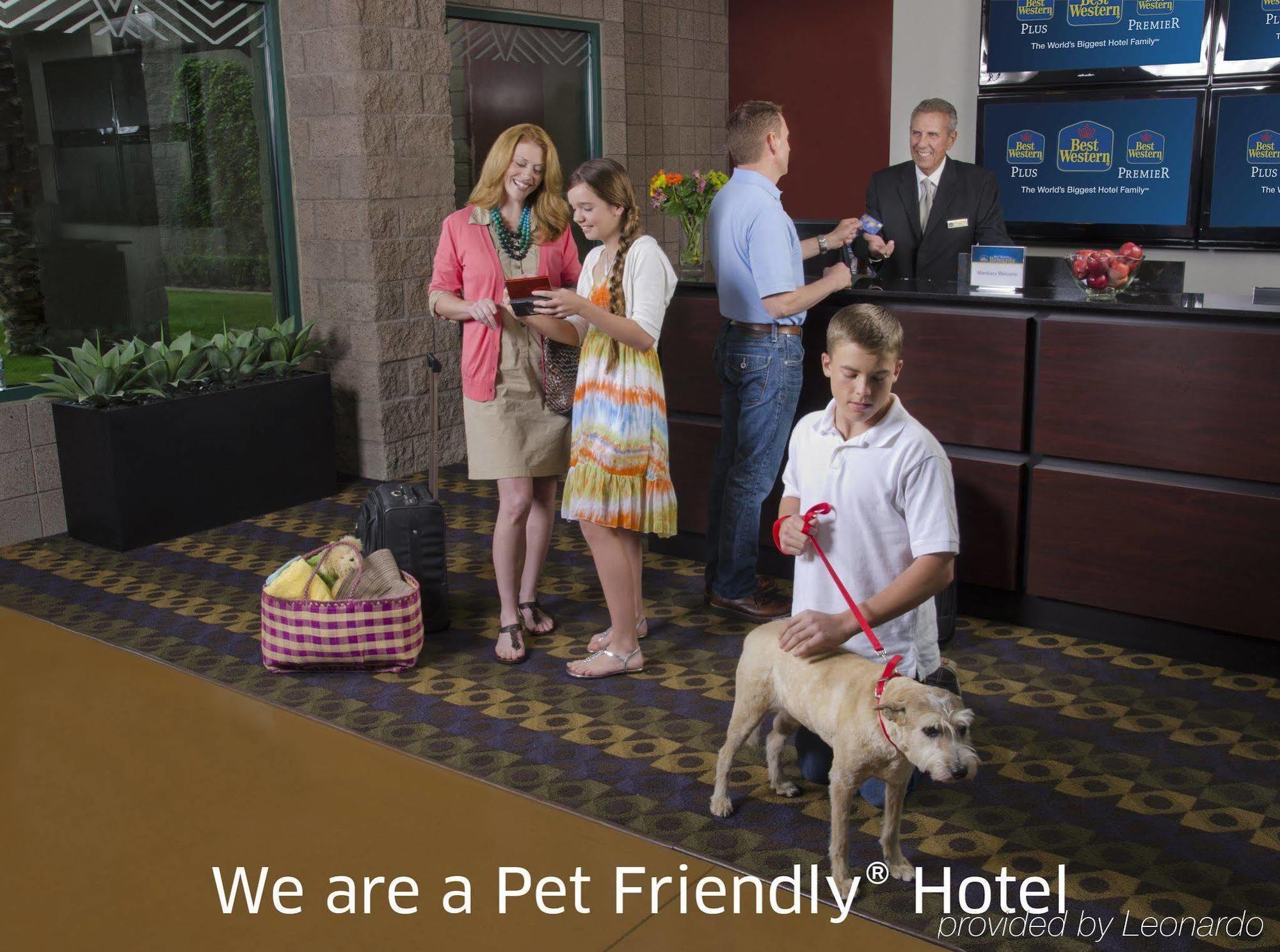 Best Western Plus Lytle Inn And Suites Exteriör bild